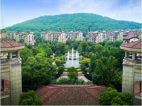 重磅！蜀山區稀缺純洋房11月18日正式亮相，闊景雅奢人居禮獻全城